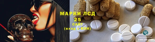 ГАЛЛЮЦИНОГЕННЫЕ ГРИБЫ Баксан