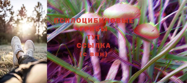 ГАЛЛЮЦИНОГЕННЫЕ ГРИБЫ Баксан