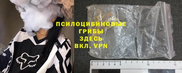 ГАЛЛЮЦИНОГЕННЫЕ ГРИБЫ Баксан