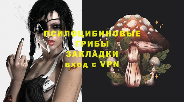 apvp Балахна